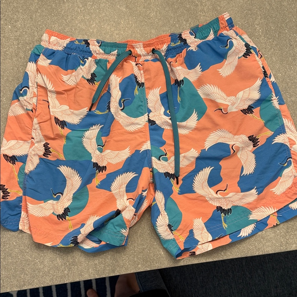Saxx Men's Swim Trunks with Crane Design - Coral and Teal